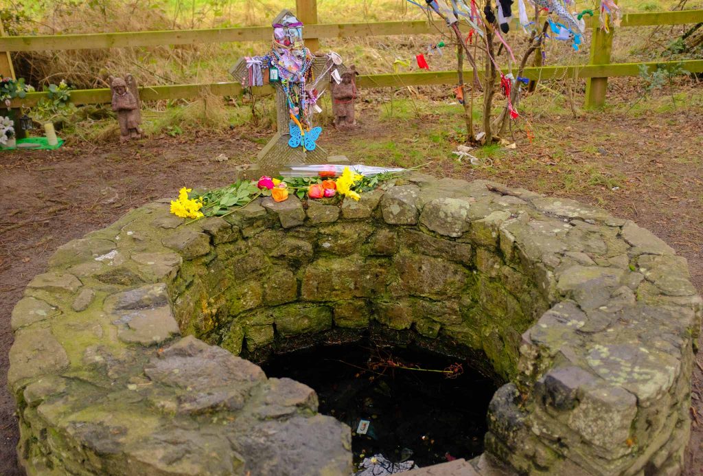 kildare st brigid's well