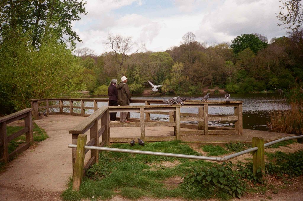 hampstead heath londres