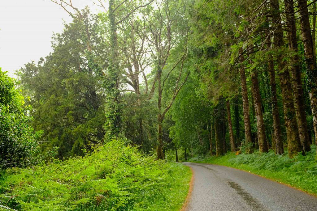 killarney national park vélo