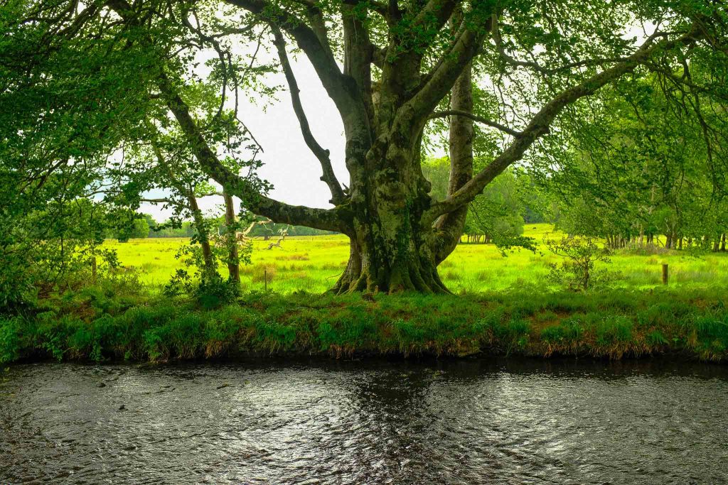 killarney national park deenagh