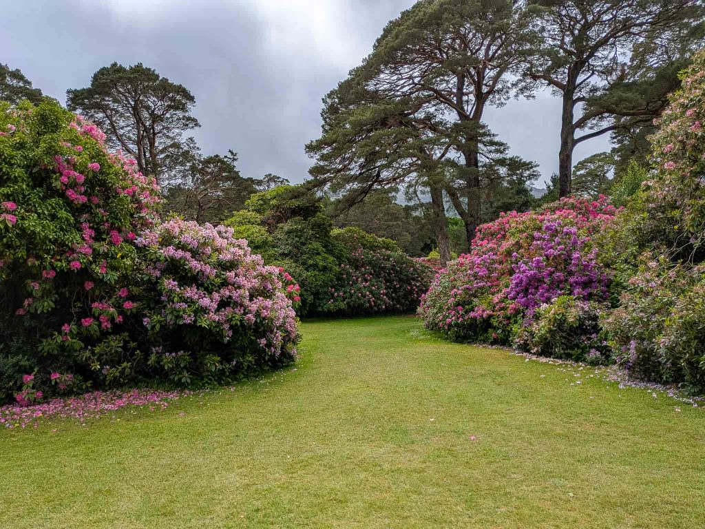muckross house gardens