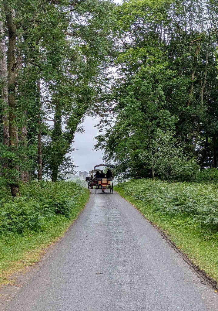 killarney national park