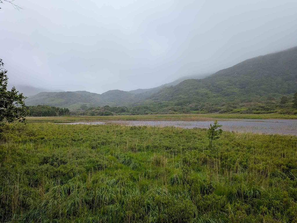 killarney national park