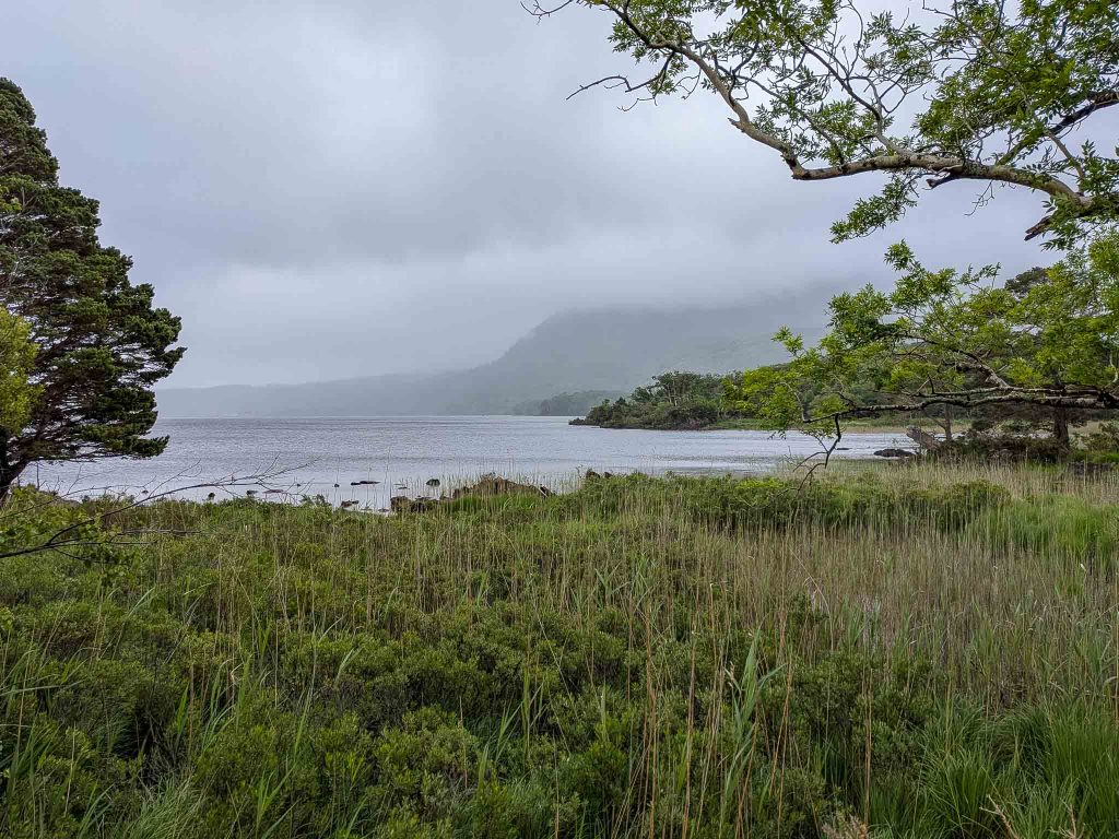 killarney national park
