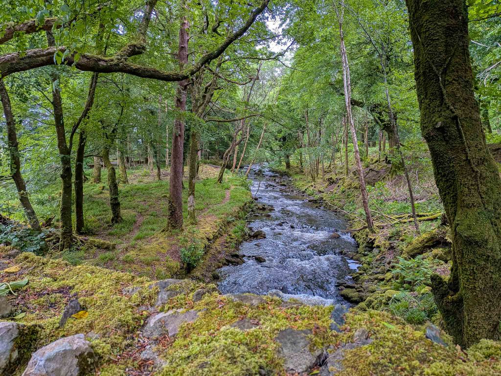 torc killarney national park