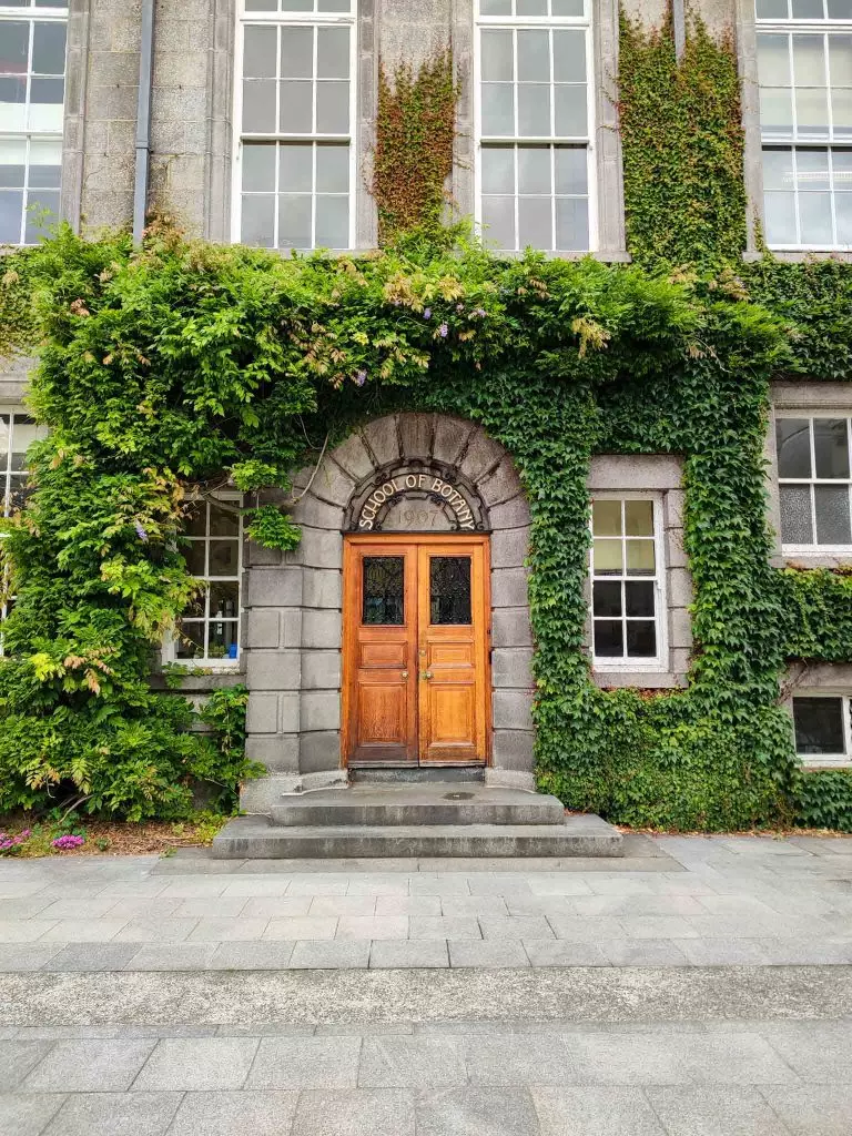 visiter dublin en 3 jours trinity college 2