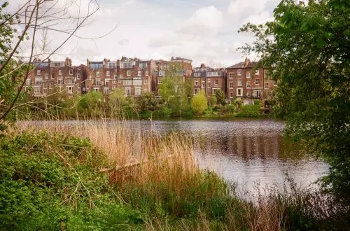 hampstead heath londres