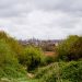 hampstead heath londres