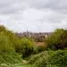 hampstead heath londres