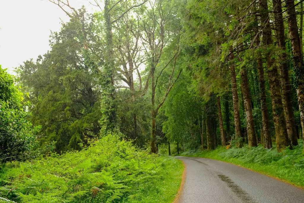 killarney national park vélo