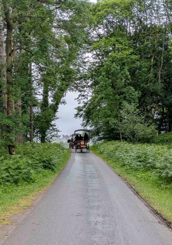 killarney national park