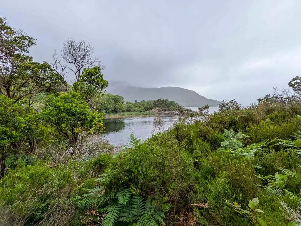 killarney national park view