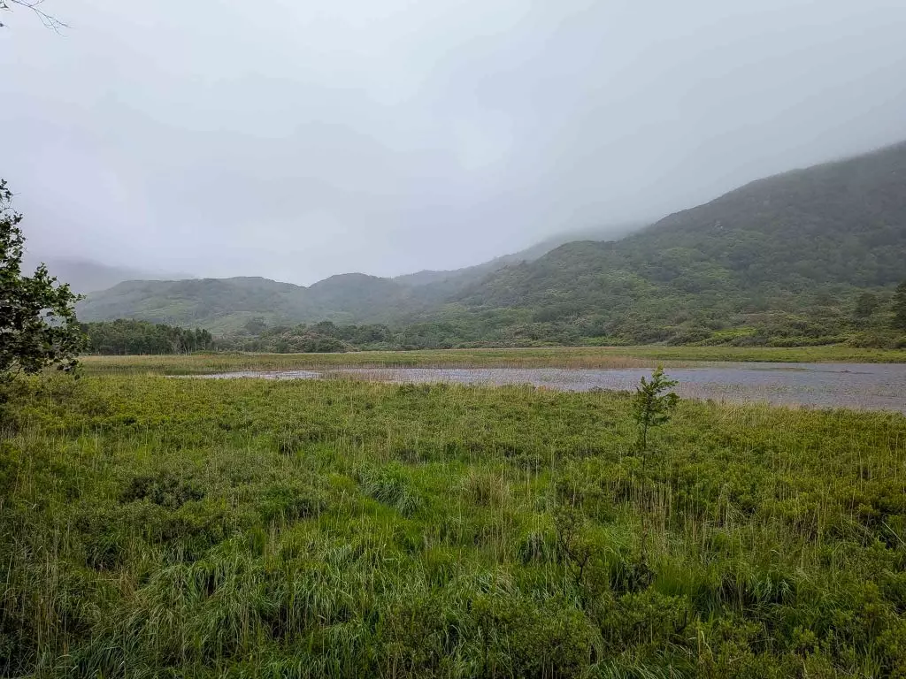 killarney national park