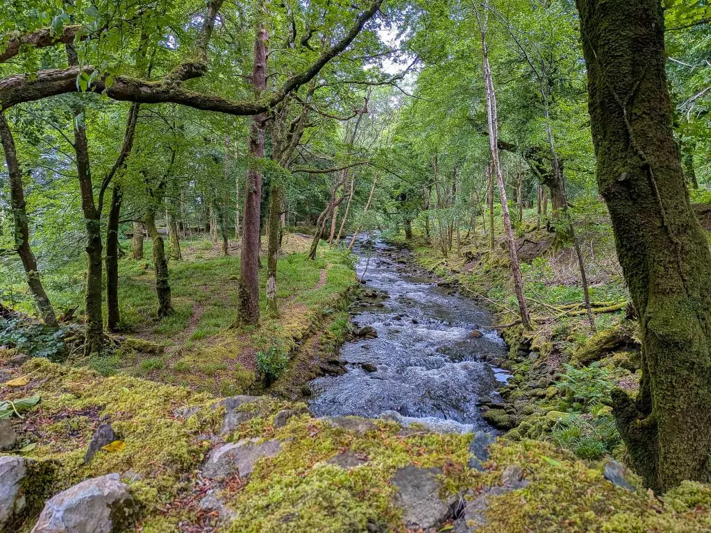 torc killarney national park