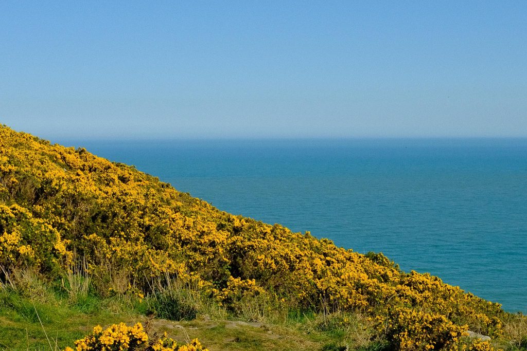 parcs dublin killiney hill