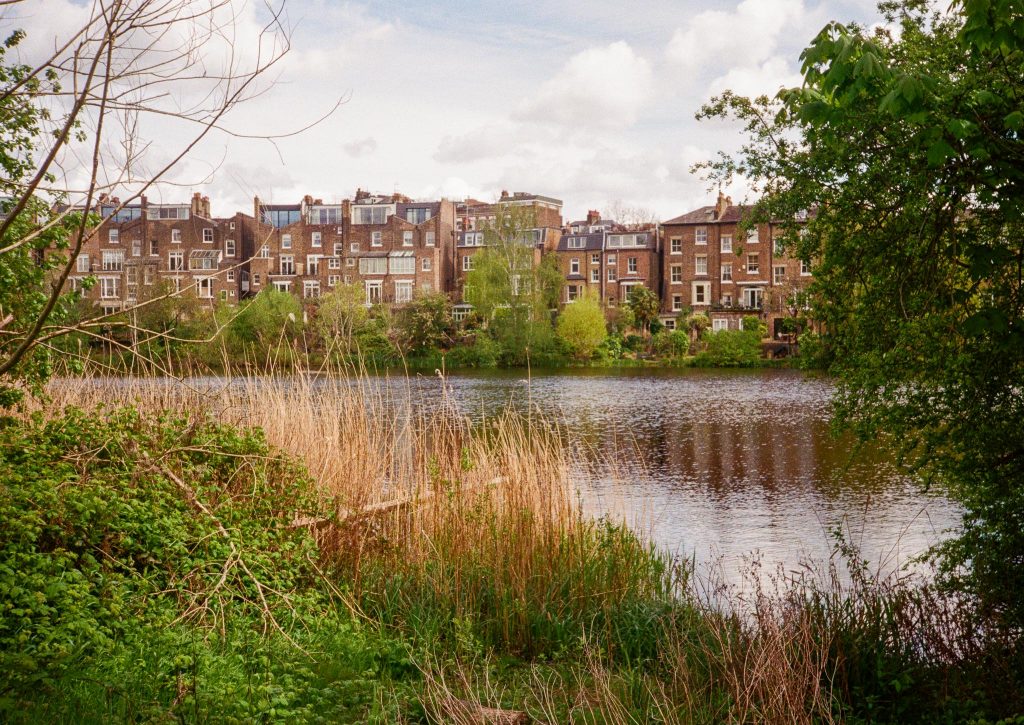 hampstead heath londres