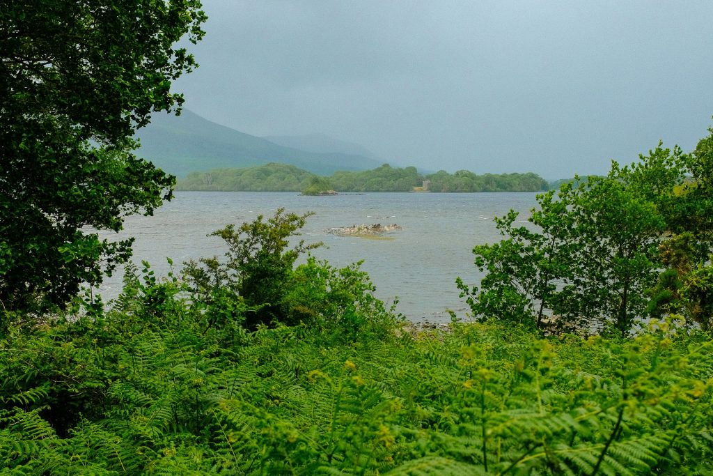 innisfallen island
