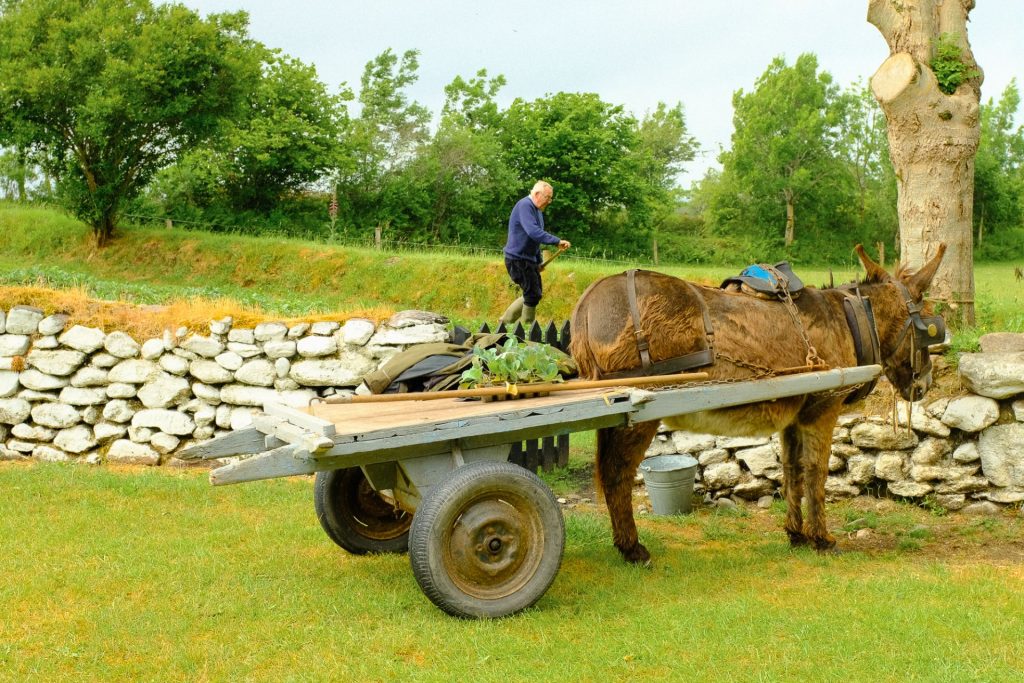 Muckross Traditional Farms