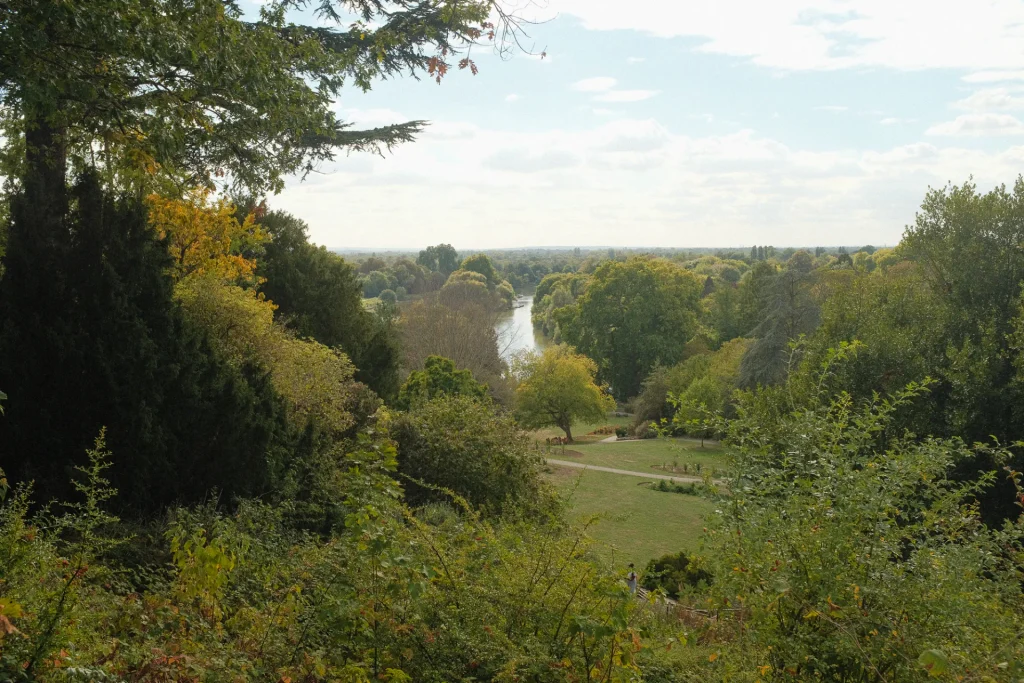 richmond hill view